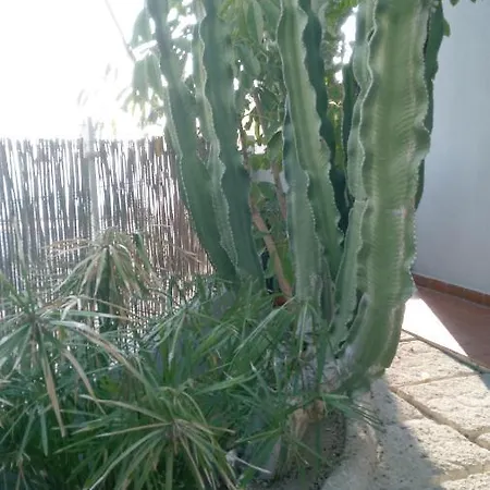 Apartament Pardela Costa Adeje (Tenerife)