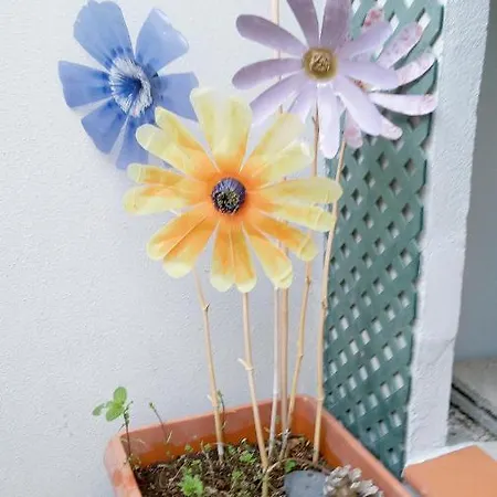 Apartament Pardela