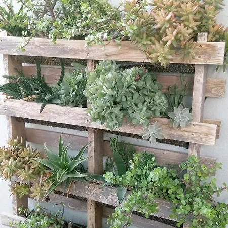 Pardela Apartament Costa Adeje (Tenerife)