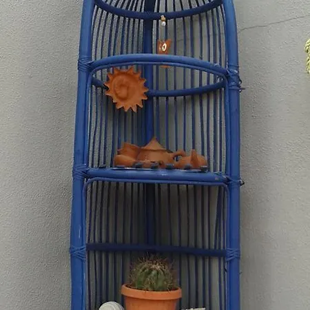 Pardela * Costa Adeje (Tenerife)