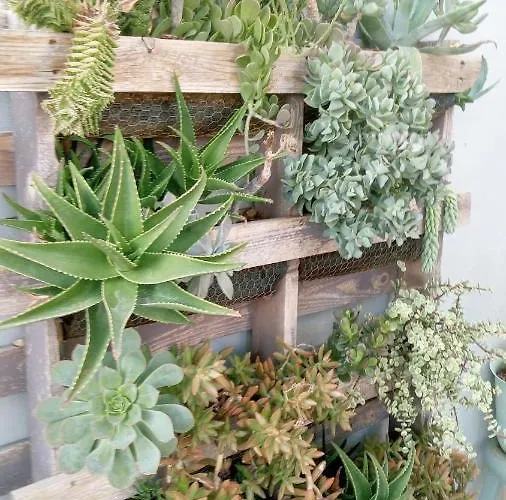 Apartmán Pardela Costa Adeje (Tenerife)