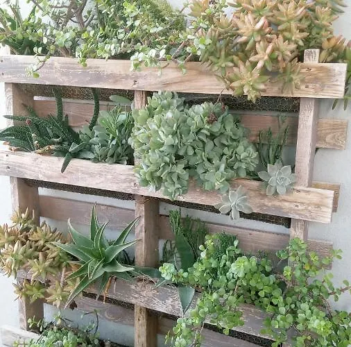 Pardela Apartman Costa Adeje (Tenerife)