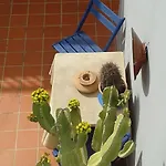 Pardela Apartament Costa Adeje (Tenerife)