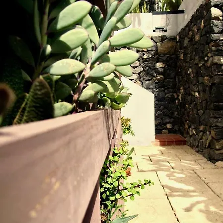 Pardela Apartment *