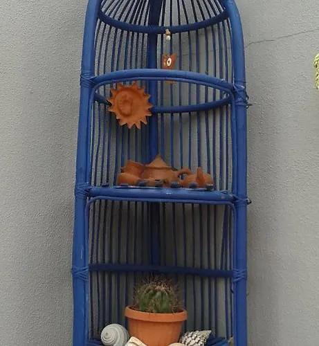 Pardela * Адехе