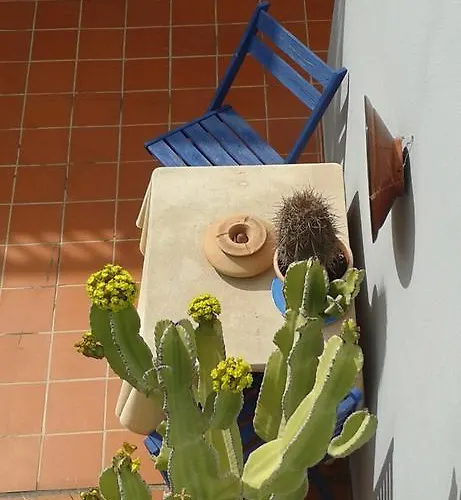 Pardela Lejlighed Costa Adeje (Tenerife)