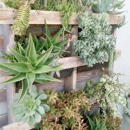 Lägenhet Pardela Costa Adeje (Tenerife)